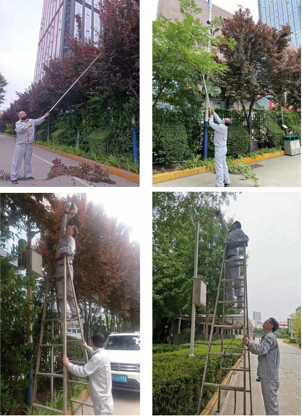 公司清静，，，，，“我”包管-尊龙时凯